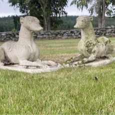 Pair of stone Whippets/Greyhounds
